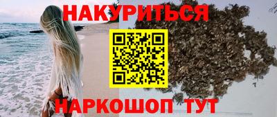 молекула духа Кингисепп