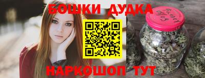 молекула духа Кингисепп