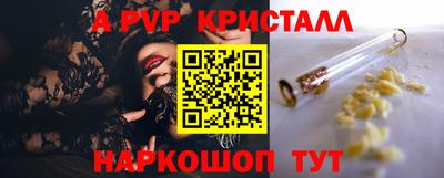 молекула духа Кингисепп