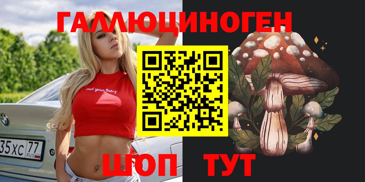 Галлюциногенные грибы GOLDEN TEACHER  сколько стоит  Буйнакск  Галлюциногенные грибы Psilocybe  Вход с VPN 