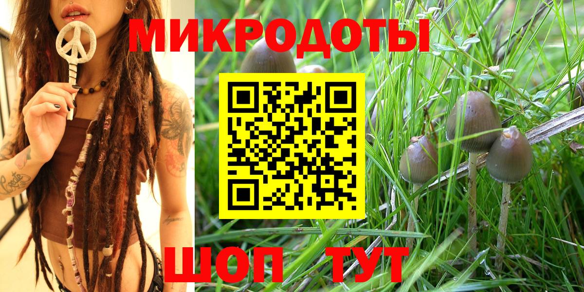 Псилоцибиновые грибы Psilocybine cubensis Буйнакск
